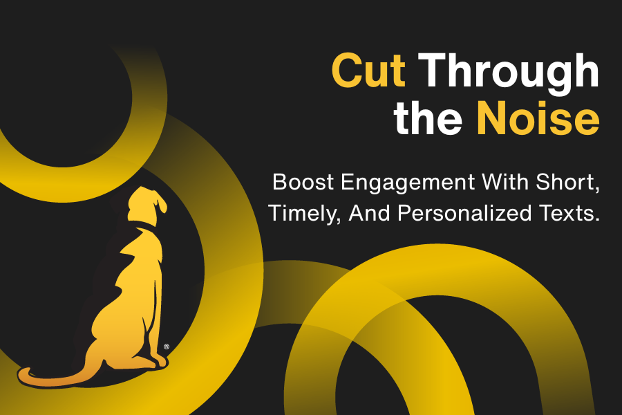 Best Text Message Strategies to Engage Your Audience