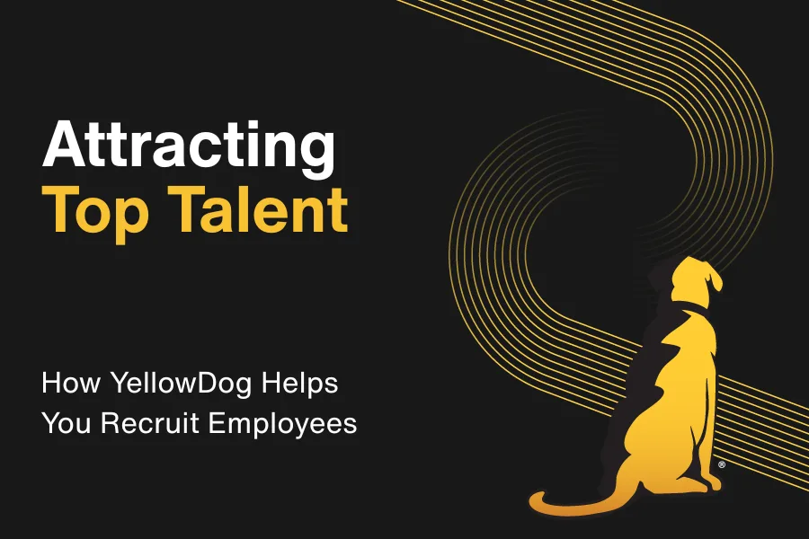 Attracting Top Talent: How YellowDog Helps You Recruit Employees Through LinkedIn Ads, Recruitment Videos, and Defined Company Culture