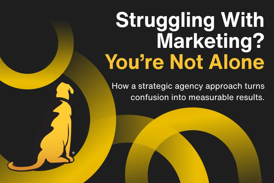 Why Businesses Struggle With Marketing (And How We Solve It)
